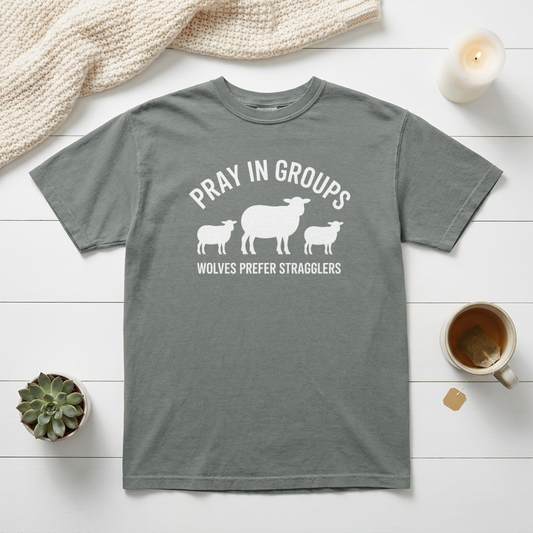 Pray In Groups Wolves Prefer Stragglers Christian Graphic Tee